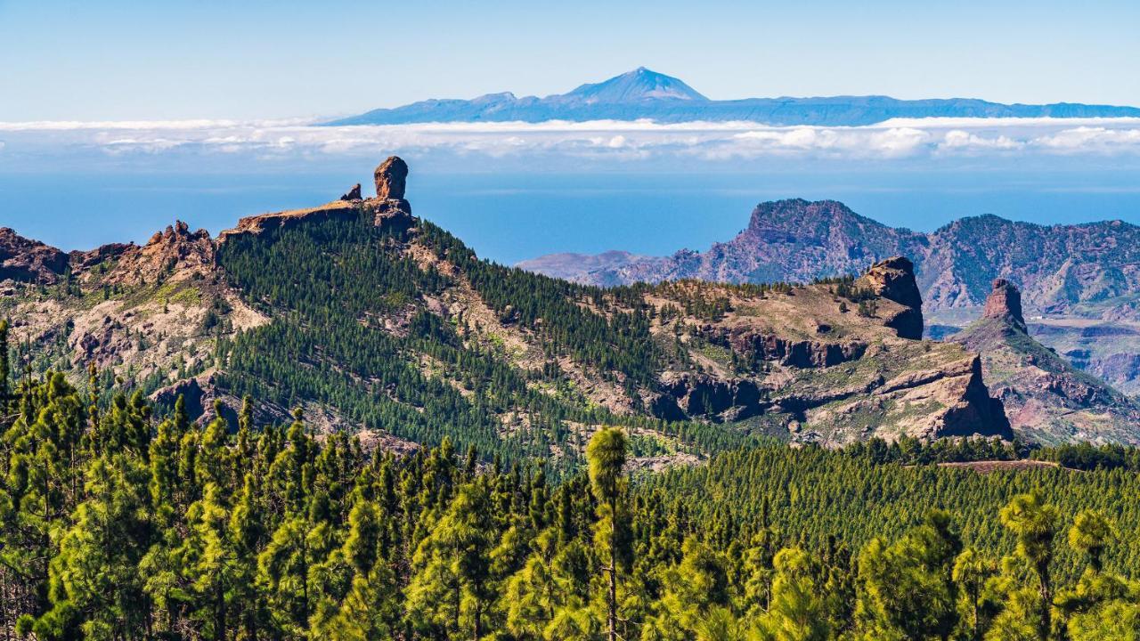 Julia'S Sweet Home Mesa Y Lopez Las Palmas de Gran Canaria Dış mekan fotoğraf